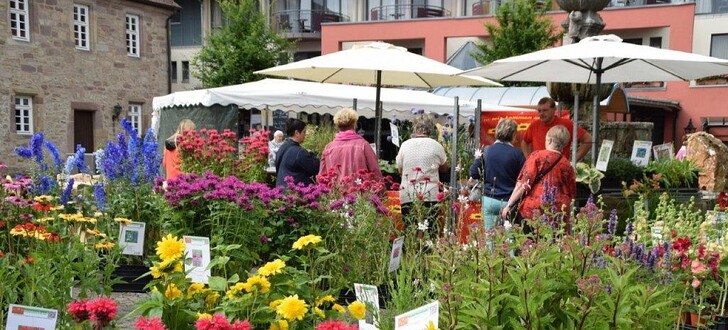 Vom 13. bis 15. Juli lockt das achte Friedewalder Gartenfest.