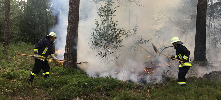 Zwei 14-jährige Jungen haben am Dienstagabend Rauch über dem Wald von Dittlofrod bemerkt. Sie alarmierten die Feuerwehr und verhinderten damit wohl einen größeren Brand