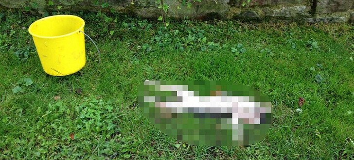 Dieses grauenhafte Bild möchten wir Ihnen, liebe Leser, nicht unzensiert antun.