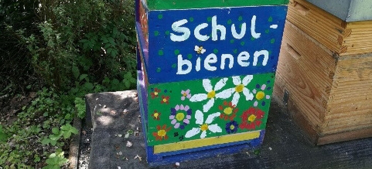 Dieser Schul-Bienenstock steht bei Familie Lehn in Hönebach im Garten in unmittelbarer Nachbarschaft der Grundschule