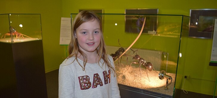 Julina Langermann ist die stolze 22.000ste Besucherin in der Sonderausstellung "Insekten: Kleine Tiere ganz groß"