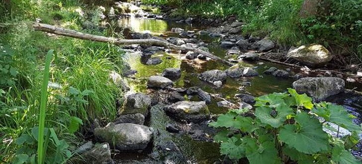 Es darf kein Wasser mehr aus Bächen, Flüssen und Seen entnommen werden. Unser Foto zeigt den Eisenbach unterhalb des Schlosses bei der Bogenbrücke.