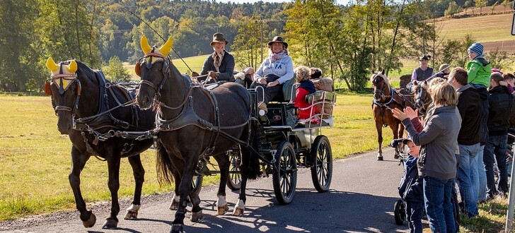 Viel Freude bei der gemeinsamen Kutschfahrt durch die schöne Herbstlandschaft