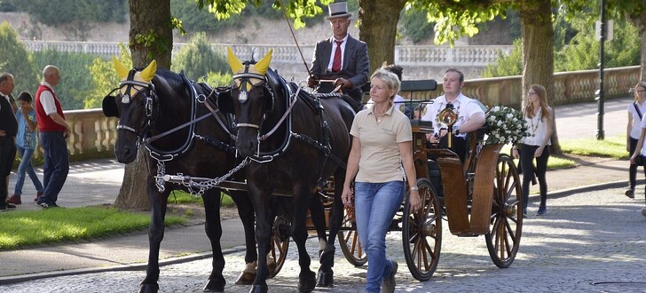 Zur Proklamation der neuen Schützen-Königsfamilie führte der Festzug von der Pauluspromenade bis zur Ochsenwiese.