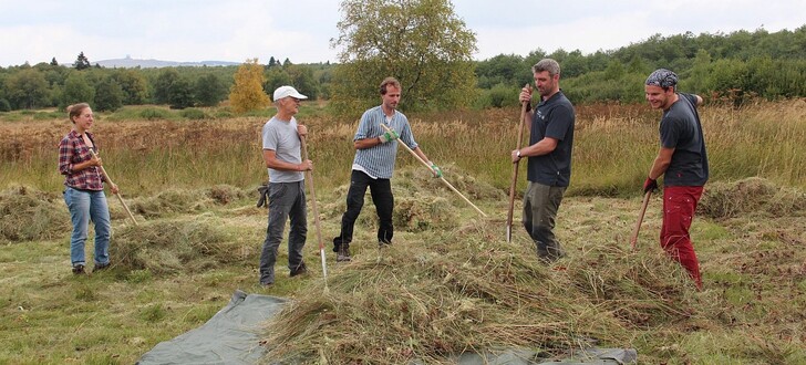 Anna-Lena Stettner (von links), Rolf Schoeneborn, Martin Ladach, Ranger Jan Knittel und Dominik Kopf machen Heu im Roten Moor. Sie durften für das Bergwaldprojekt in den geschützten Bereich, um die Fläche wieder für bedrohte Arten zu öffnen.